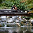 Japanischer Garten