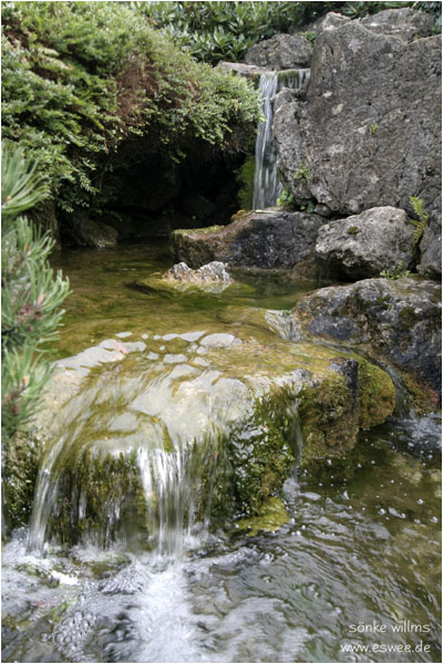 Japanischer Garten 3