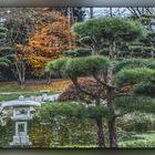 Japanischer Garten 3