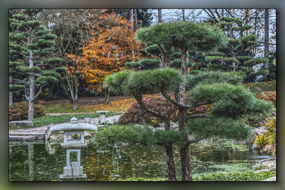 Japanischer Garten 3