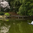 japanischer Garten