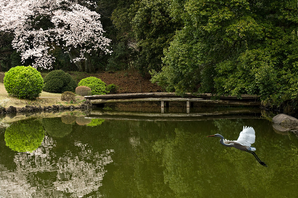 japanischer Garten