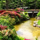 japanischer garten