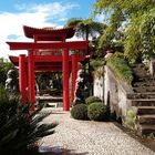 japanischer Garten 4