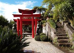 japanischer Garten 4