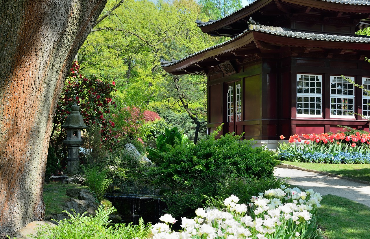 Japanischer Garten 4