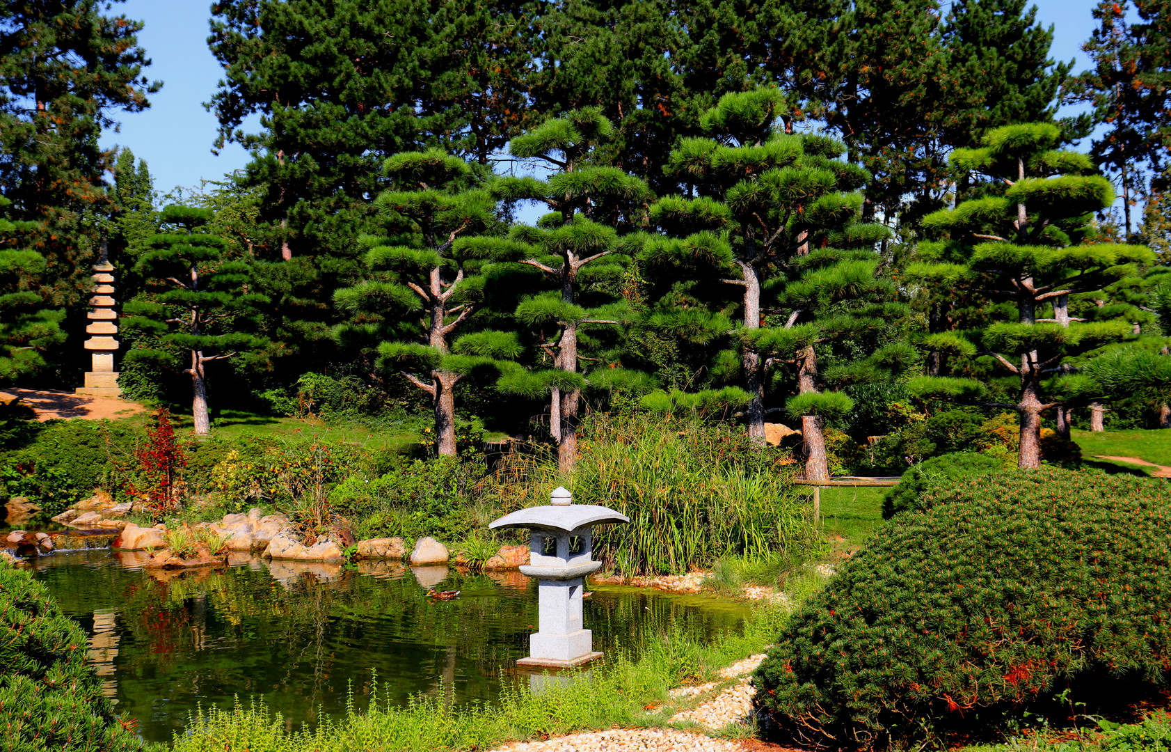 Japanischer Garten