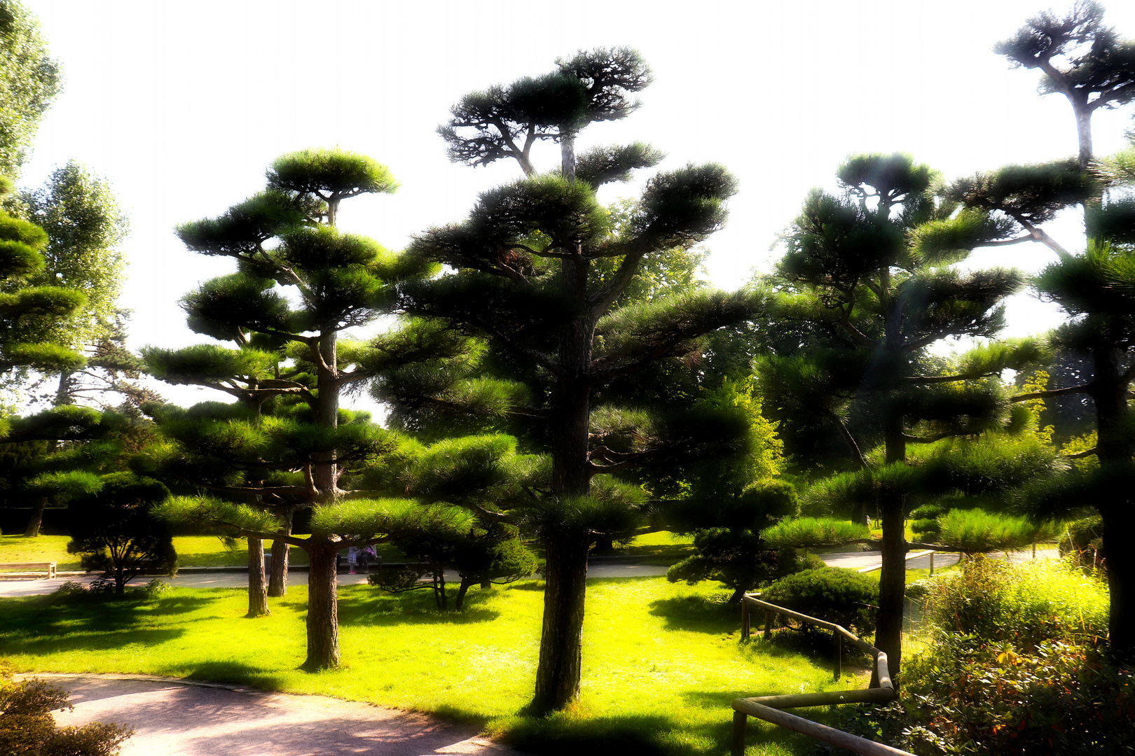 Japanischer Garten