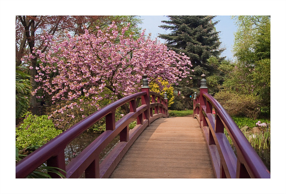 Japanischer Garten