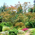 Japanischer Garten