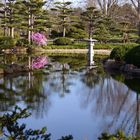 Japanischer Garten