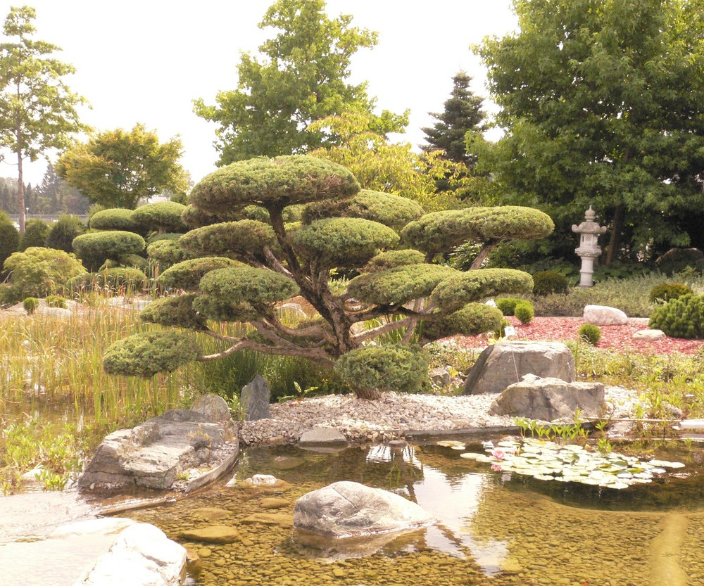 Japanischer Garten