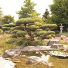 Japanischer Garten