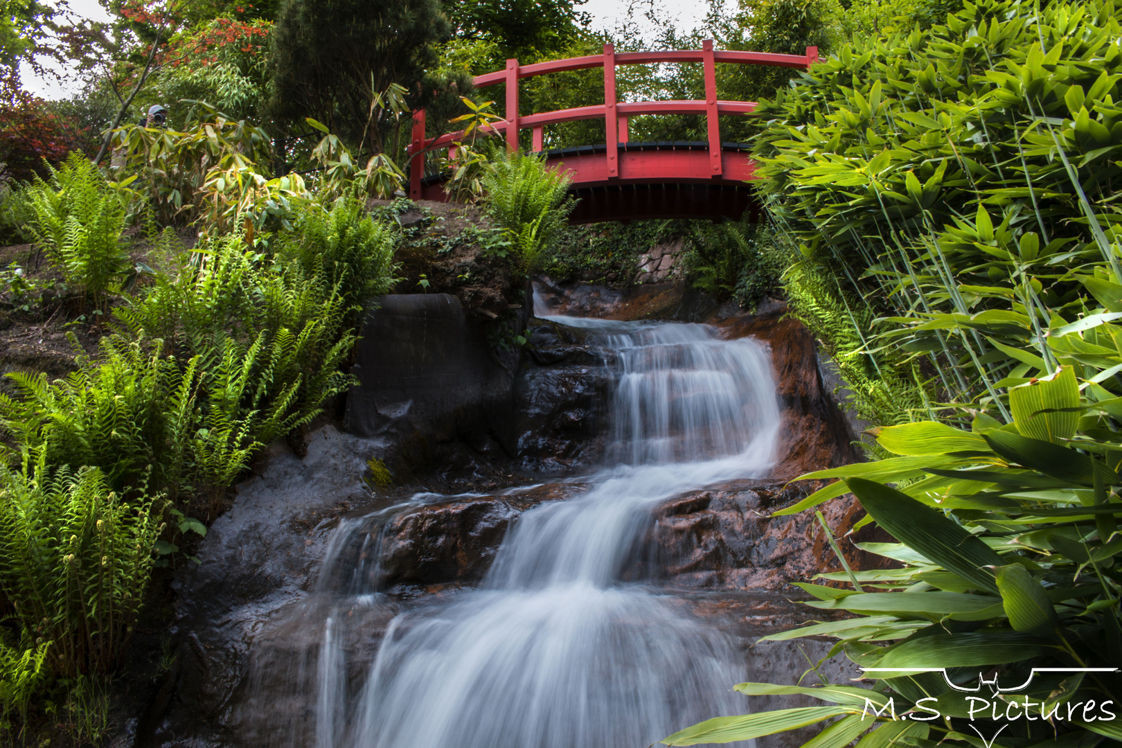 Japanischer Garten