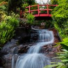 Japanischer Garten