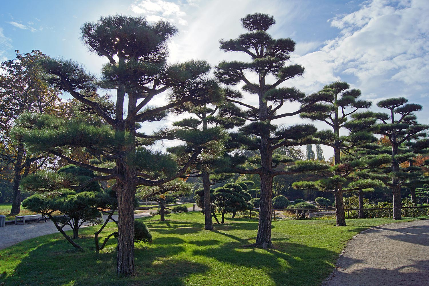 Japanischer Garten