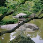 Japanischer Garten