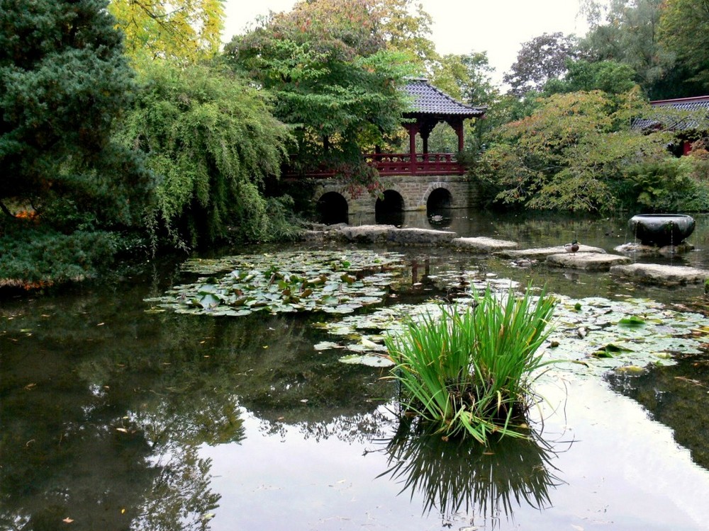 Japanischer Garten