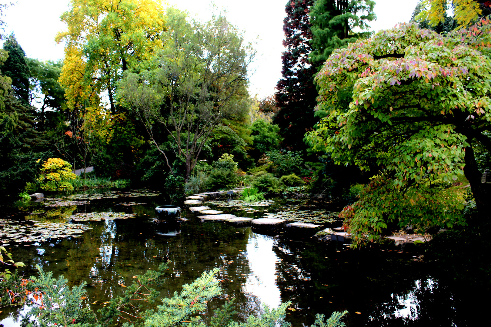 Asiatische Gärten In Deutschland Japanischer Garten Foto & Bild | landscape, gardens & parks, nature
