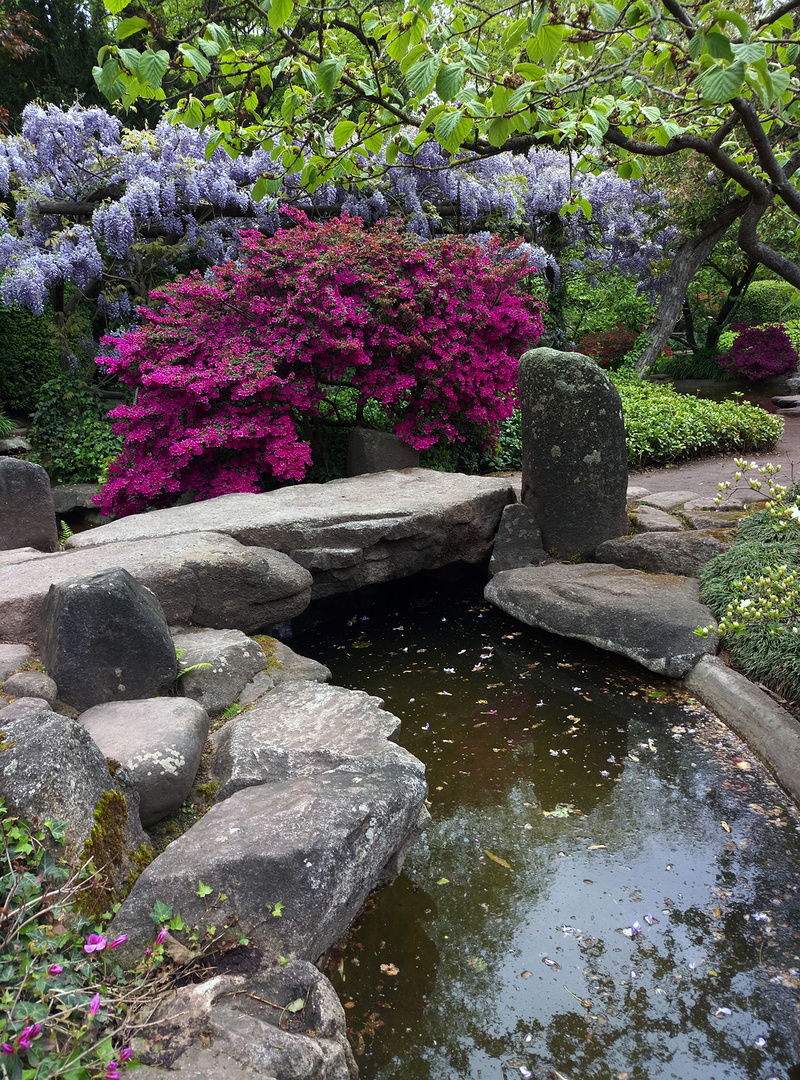 Japanischer Garten