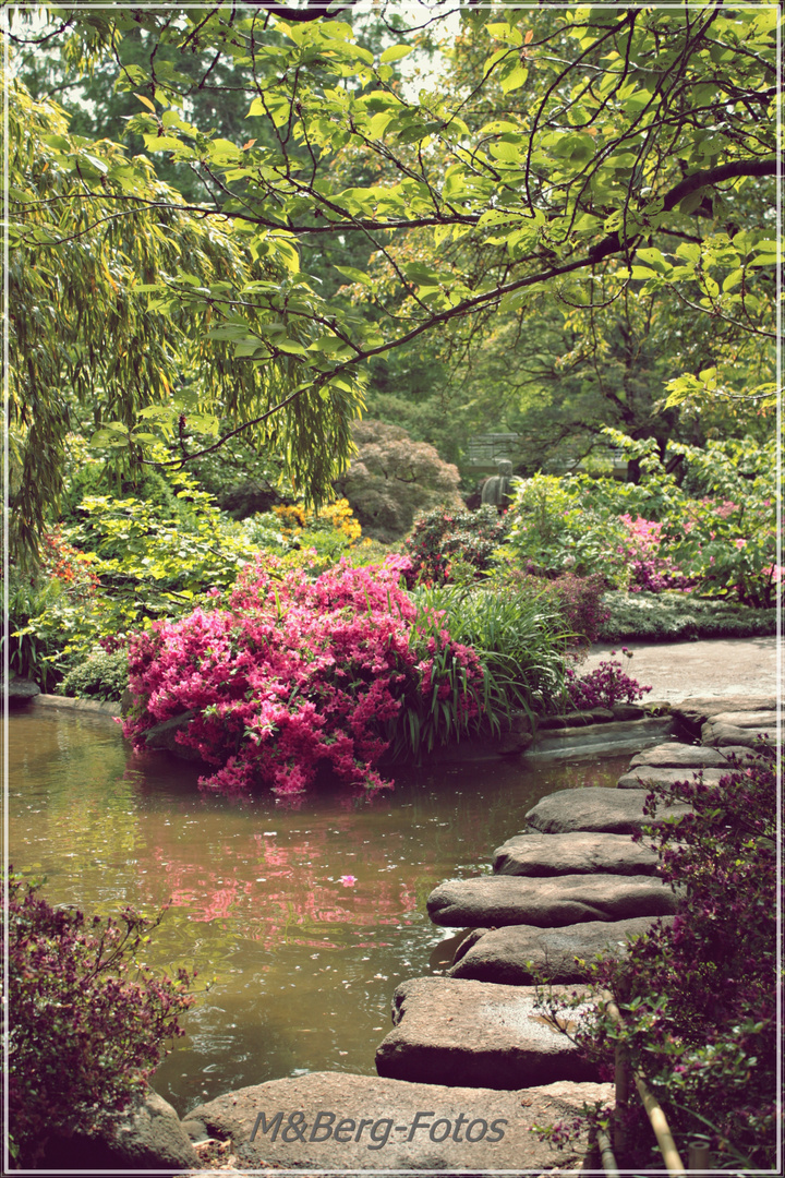 Japanischer Garten