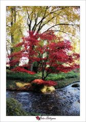 japanischer Garten