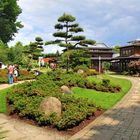 Japanischer Garten (9)