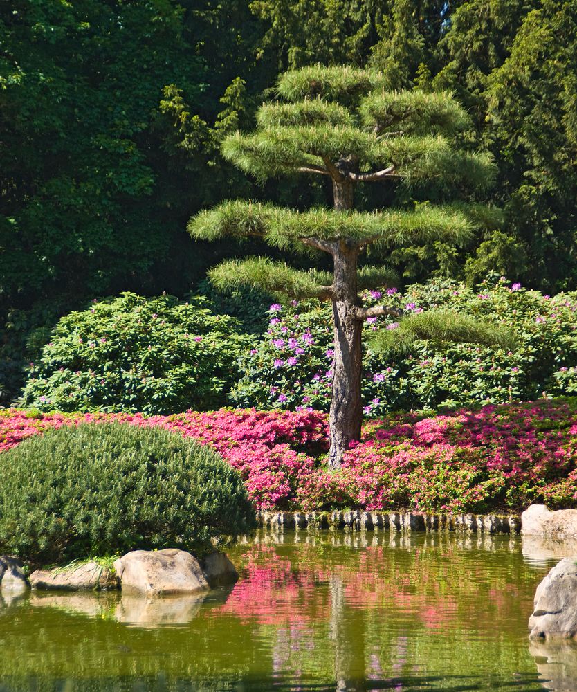 Japanischer Garten