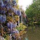 Japanischer Garten