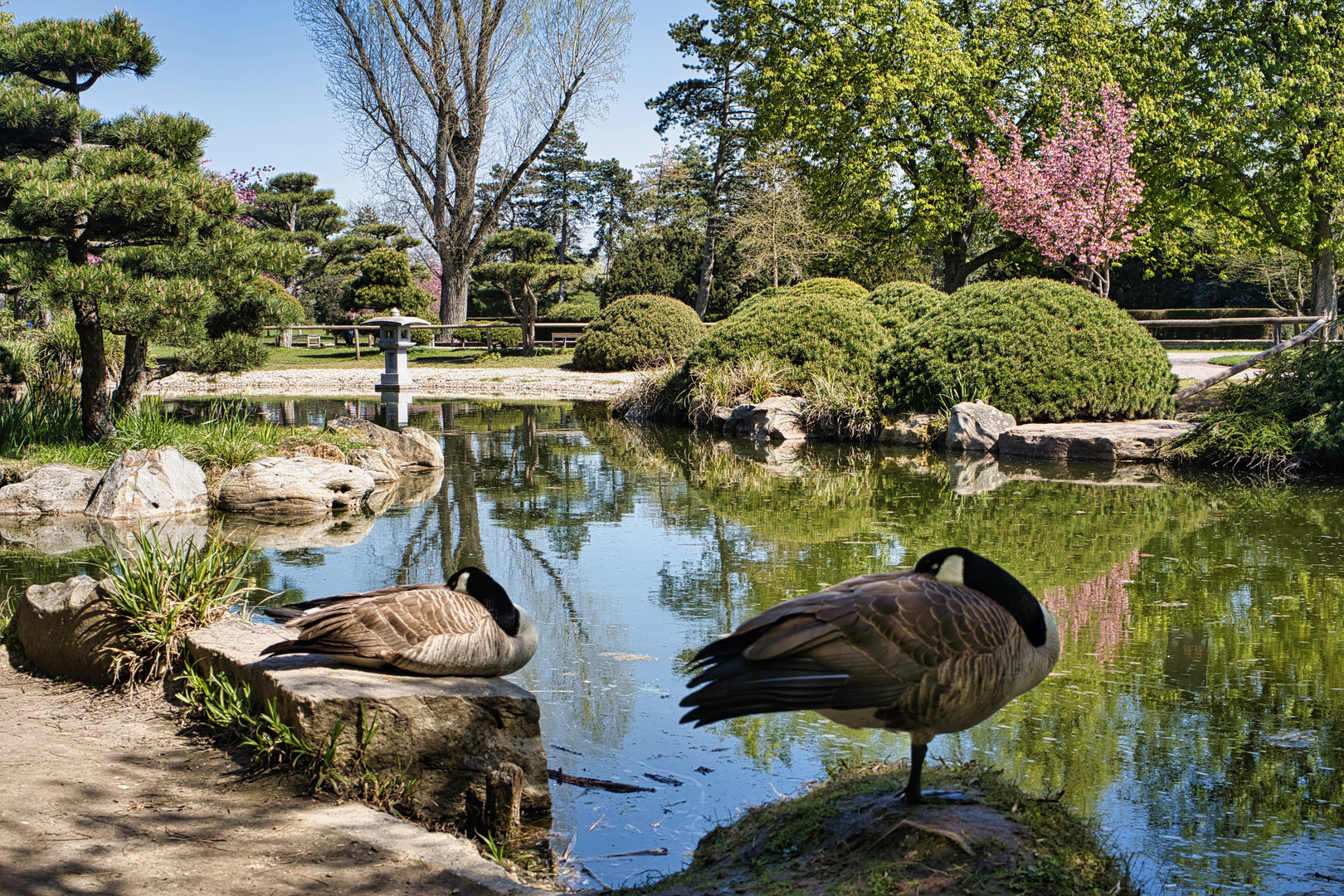 Japanischer Garten