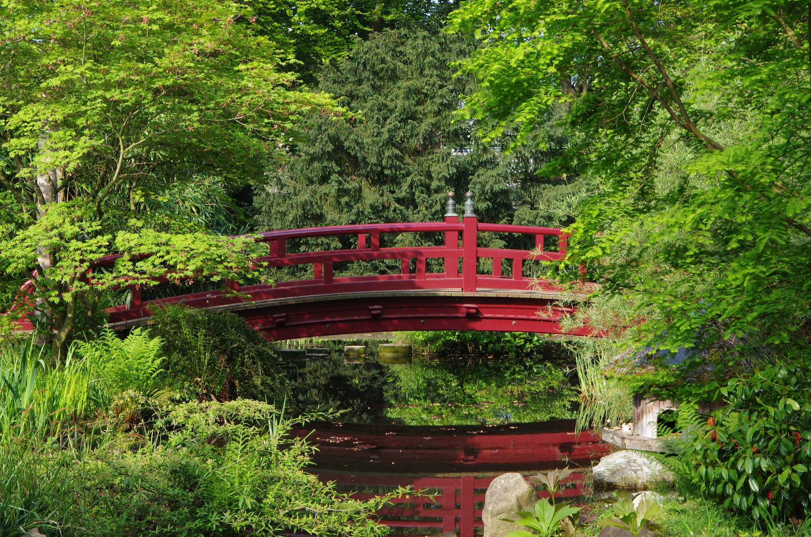 Japanischer Garten am 1.Mai