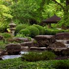 Japanischer Garten Augsburg im Juli 2013