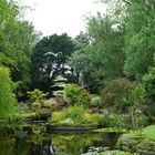 Japanischer Garten