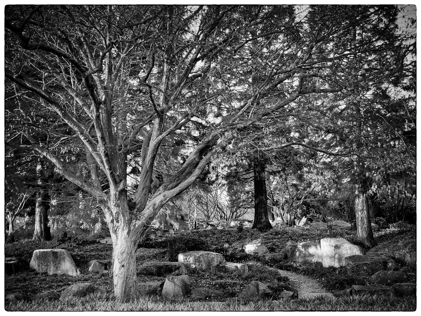 Japanischer Garten