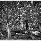 Japanischer Garten