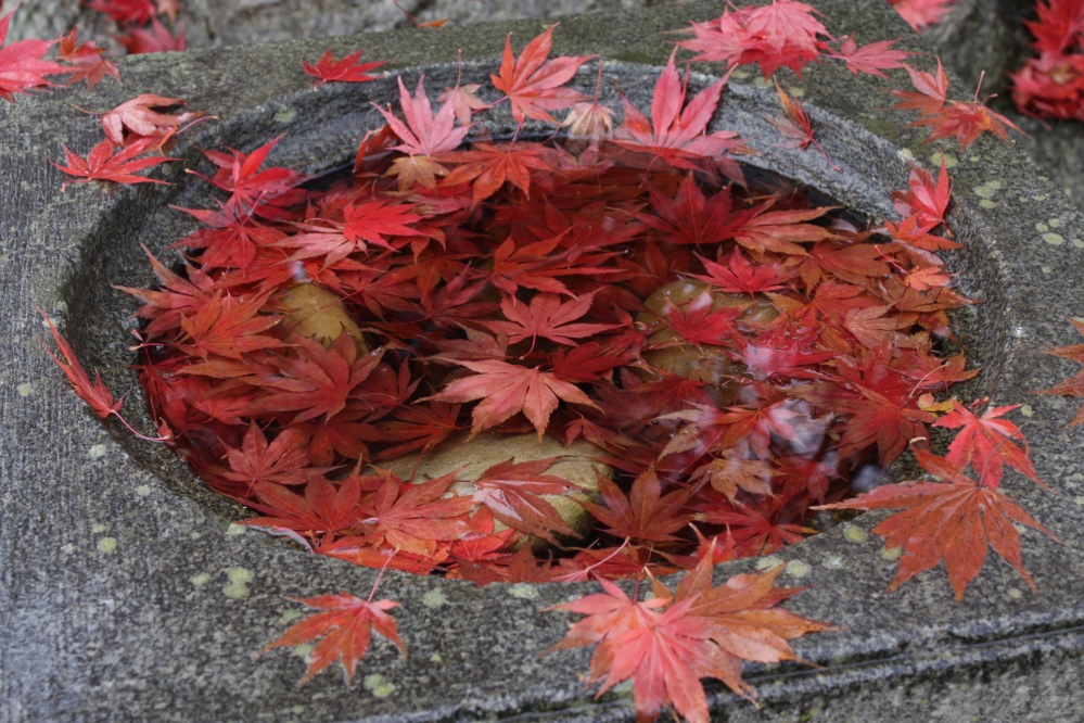 Japanischer Garten