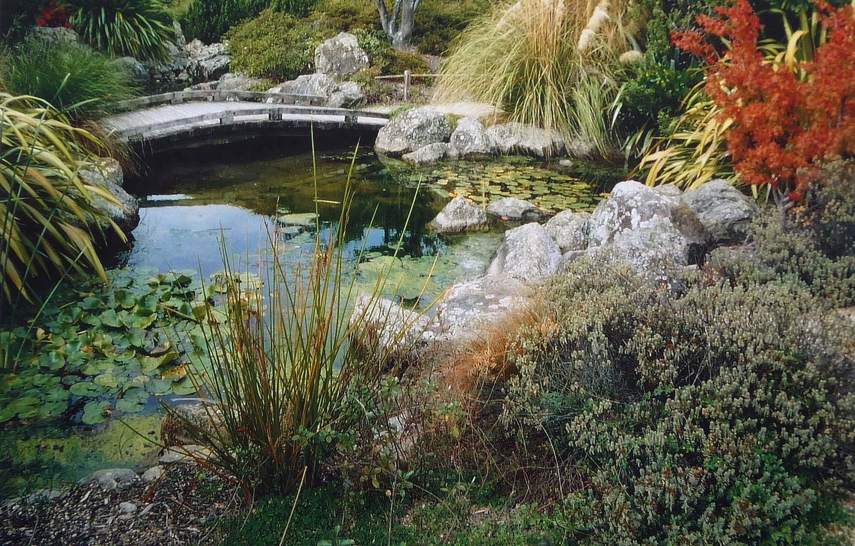 Japanischer Garten