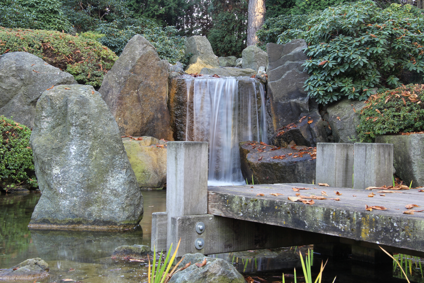 Japanischer Garten Bad Langensalza