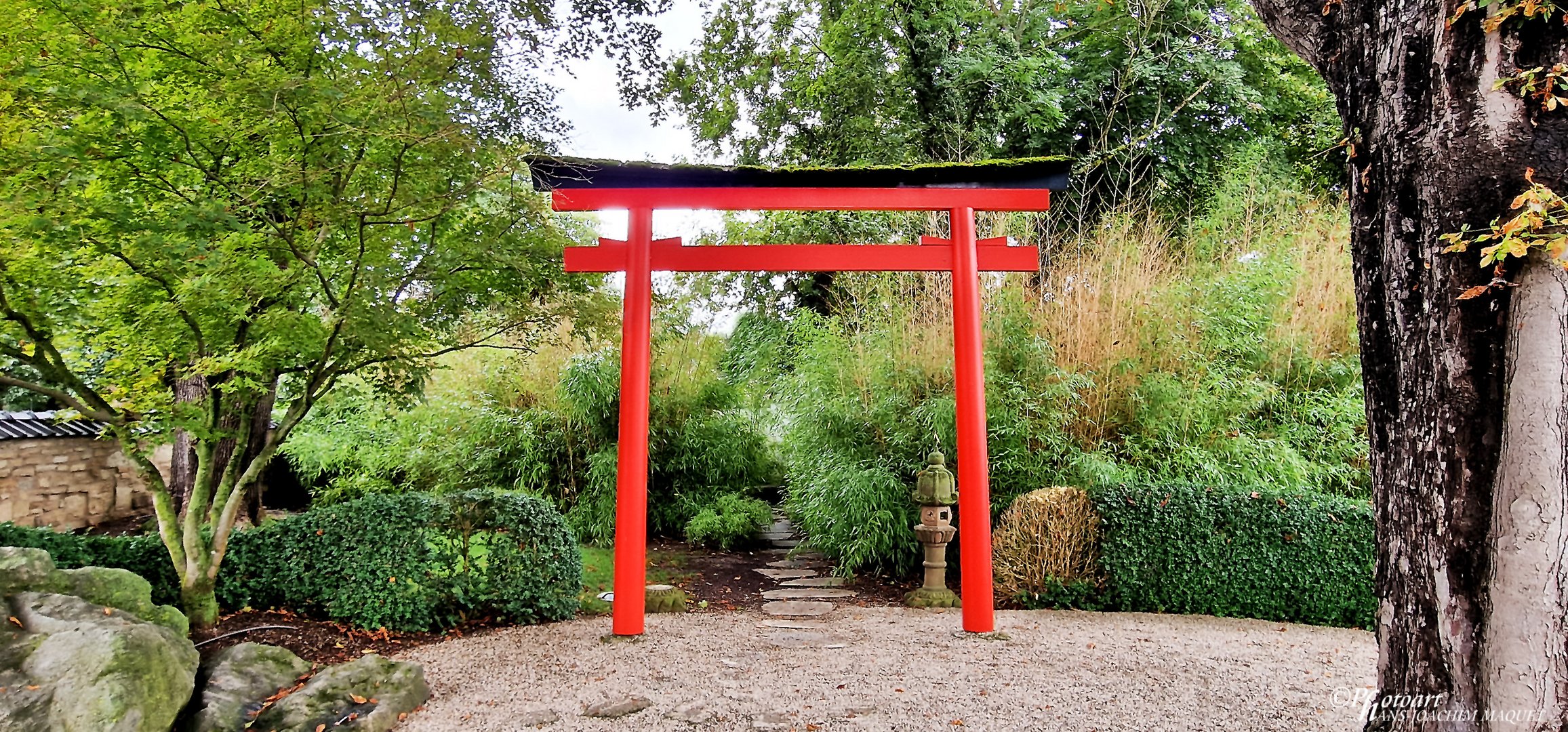 Japanischer Garten - Bad Langensalza