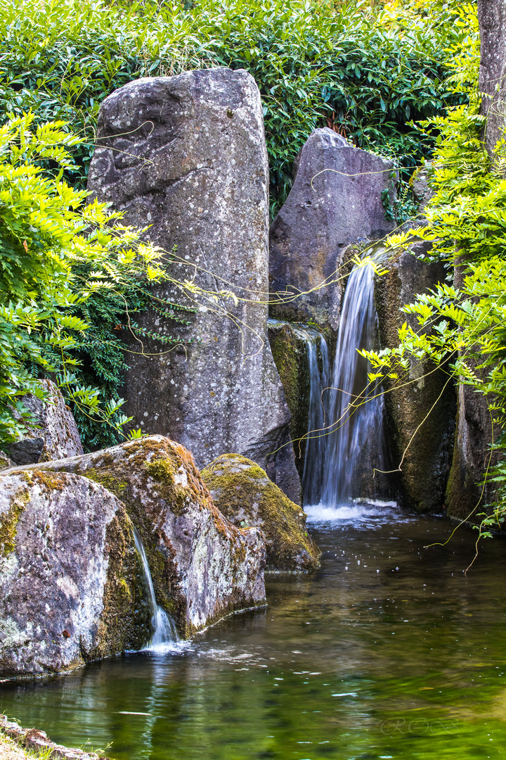 Japanischer Garten Bietigheim20180826 25312 Foto Bild