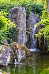 Japanischer Garten Bietigheim20180826-25312