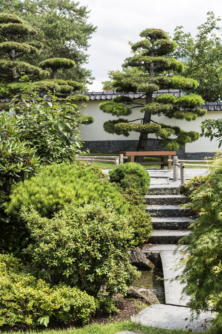 Japanischer Garten BlüBa 4