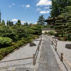 Japanischer Garten BlüBa 5