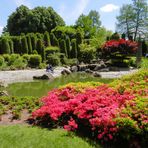 Japanischer Garten Bonn 1