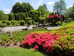 Japanischer Garten Bonn 1