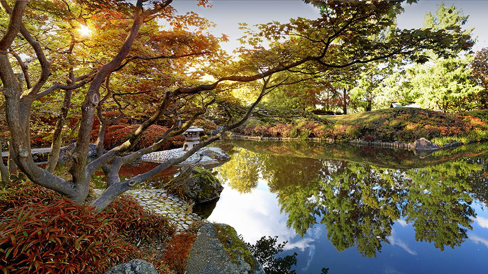 Japanischer Garten Bonn