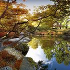 Japanischer Garten Bonn