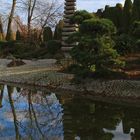 Japanischer Garten Bonn 3