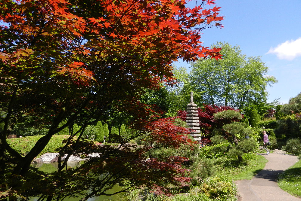 Japanischer Garten Bonn 3