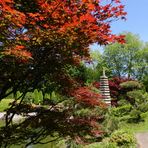 Japanischer Garten Bonn 3